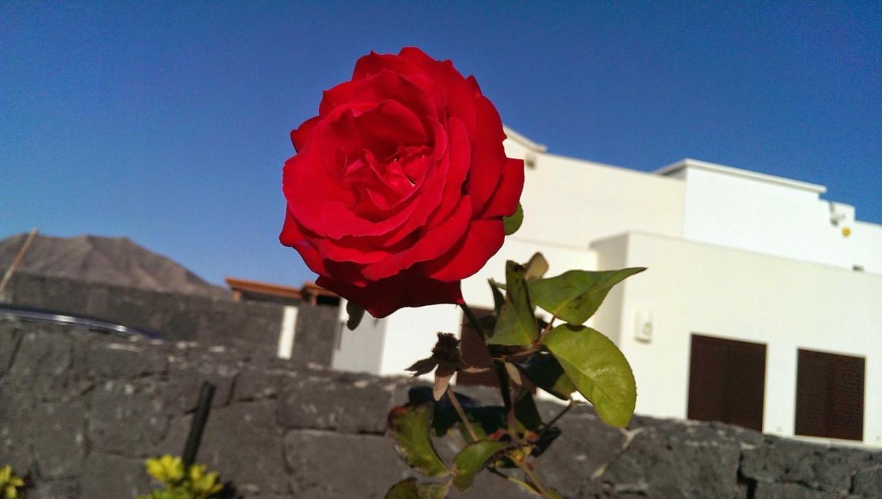 Villa Celeste Playa Blanca  Eksteriør billede